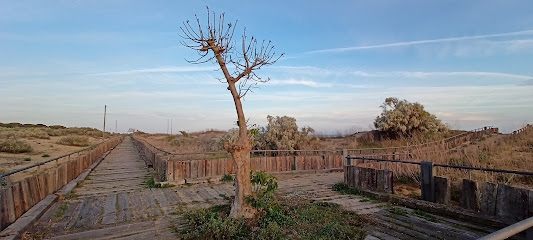 Sendero Parque Litoral en Isla Cristina. Parque ecológico