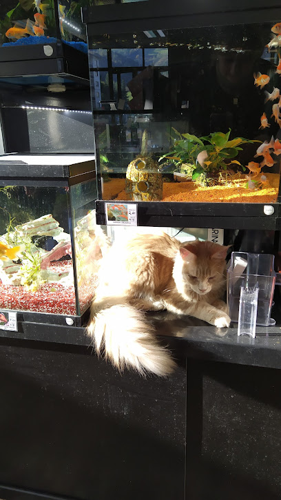 Tumascota en Elgóibar. Tienda de productos para mascotas