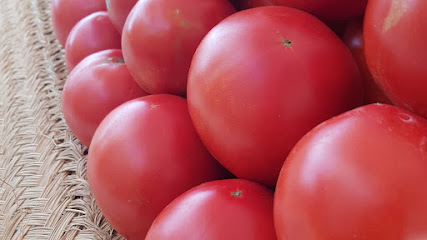 Hort Obert # Huerto Abierto en Denia. Huerto