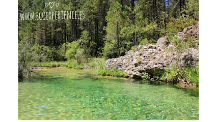 Ecoexperience en Arcas. Turoperador