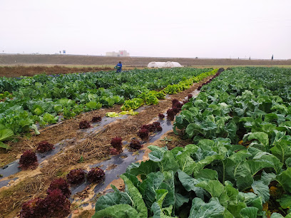 Ecohuerta Manchega en Torralba de Calatrava. Tienda de alimentos naturales
