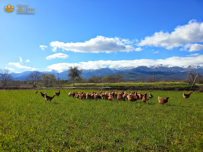 Huevos La Vera en Madrigal de la Vera. Granja avícola