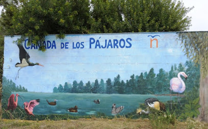 Cañada de los Pájaros en La Puebla del Río. Reserva natural