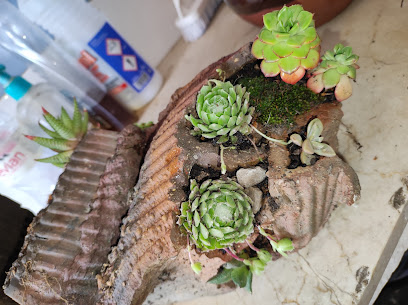 Eco&Cànem en Cocentaina. Tienda de cultivo