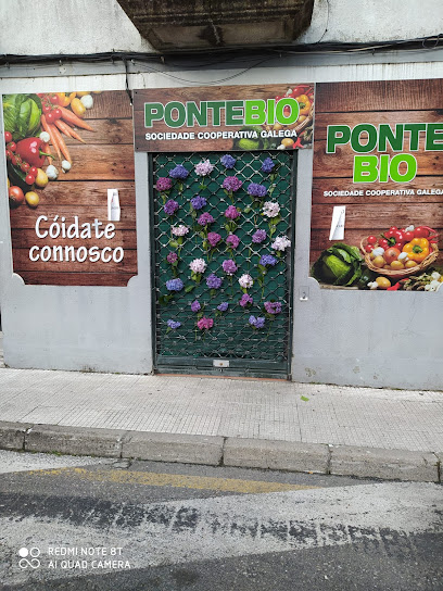 Ponte Bio en Puenteareas. Frutería