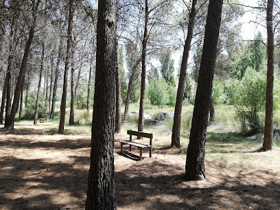 Parque Forestal Dehesa de Santorcaz en Santorcaz. Parque ecológico