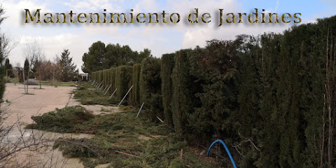 Jardinero Albacete en Casas de Juan Núñez. Jardinero