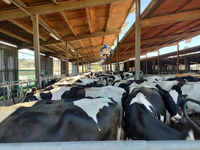 Granja Comas en Santa Eugènia de Berga. Tienda de productos lácteos