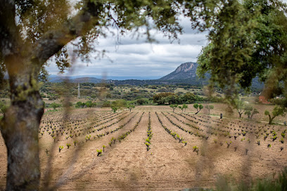 Bodega Tierra Calma en San Martín de Valdeiglesias. Bodega