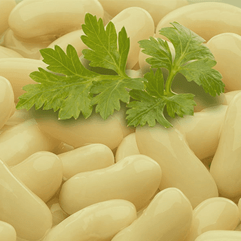 Autor Foods en Autol. Fábrica de conservas