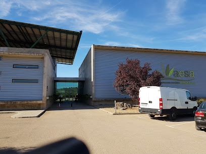 AGROPECUARIA ECOLOGICA SIERRA DE ALCARAZ SL en Alcaraz. Almazara