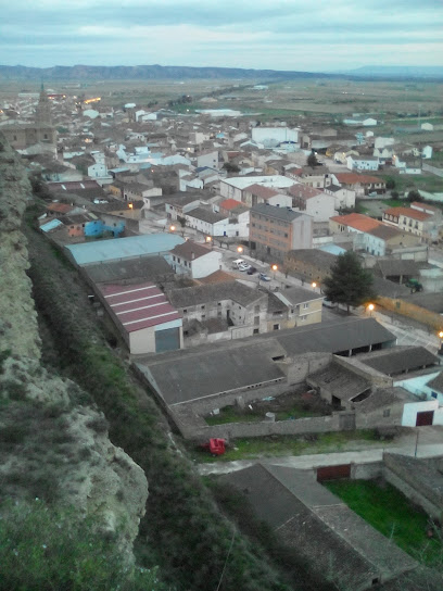 Producción Arroz Navarra SL en Arguedas. Mercado de productos agrícolas