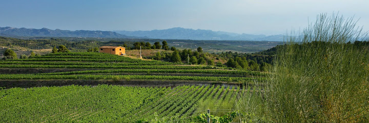Clos Galena · Domini de la Cartoixa · DOQ Priorat en El Molar. Bodega