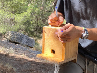 ARBA Albacete-Chinchilla en Chinchilla de Monte-Aragón. Asociación de ecologistas