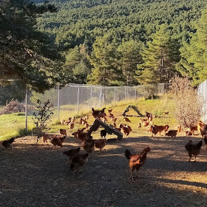Granja Bufulà en Vallcebre. Granja