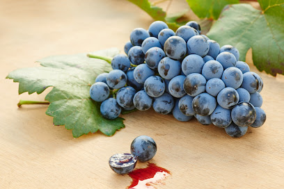 Tintoralba en Higueruela. Bodega