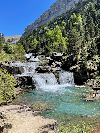 Gradas de Soaso en Torla-Ordesa. Parque ecológico