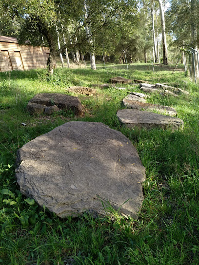 Dolmen del Juncal en Ubrique. Lugar de interés histórico
