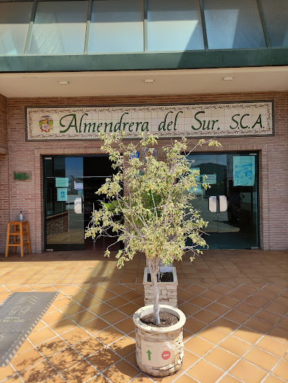 Almendrera del Sur S.C.A. en Estación de Cártama. Cooperativa agropecuaria