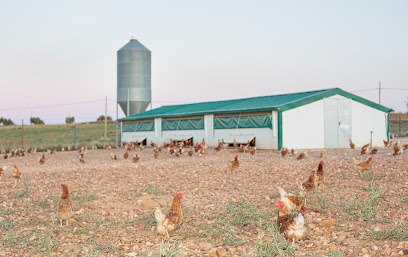 EcoGranja La Pradera en Orgaz. Granja avícola