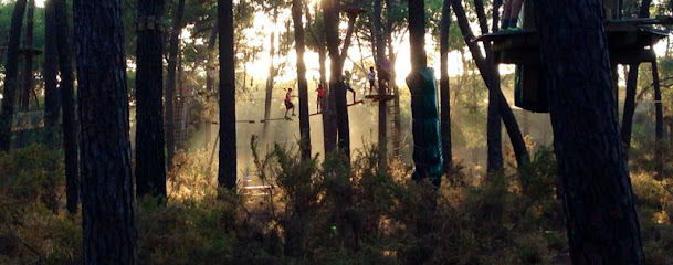 AVENTURA AMAZONIA PELAYOS. Parque de multiaventura y tirolinas para niños y adultos. Despedidas