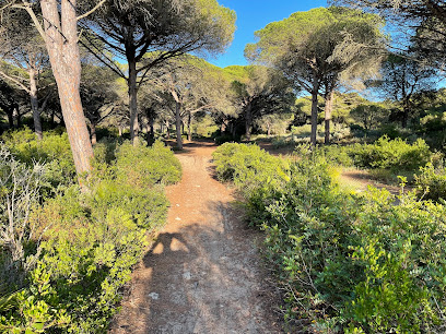 Sendero Las Breñas en Barbate. Zona de senderismo