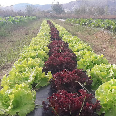 Riconatura en Rivas-Vaciamadrid. Parque ecológico