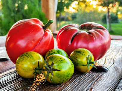 Huerta de la Retamilla en Navas de Oro. Huerto