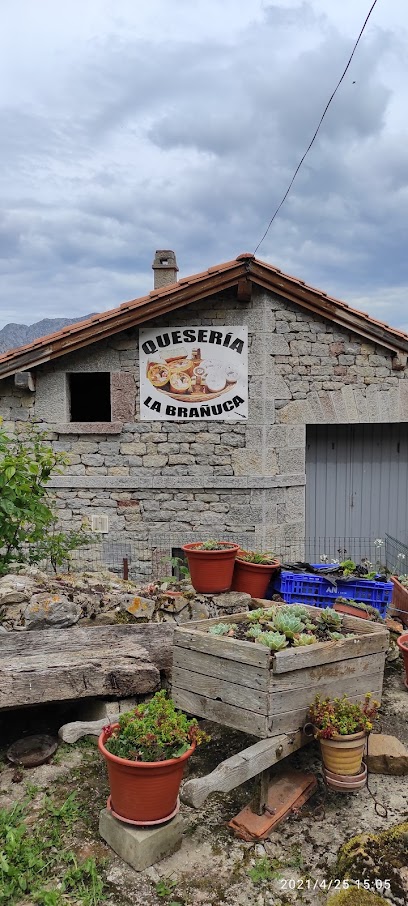 Quesería la Brañuca de Bejes en Bejes. Quesería