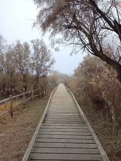 Reserva Natural de Sebes - Flix en Flix. Parque