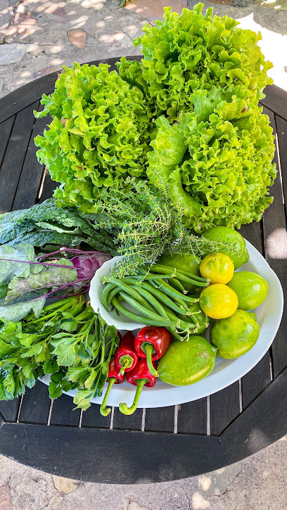 Biofinca ecológica Hermigua en Hermigua. Tienda de alimentación