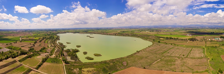 Estanque de Ivars y Vila-sana en Vila-sana. Parque nacional