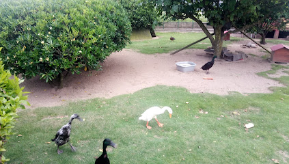 Parque de Patos de Orio en Orio. Parque