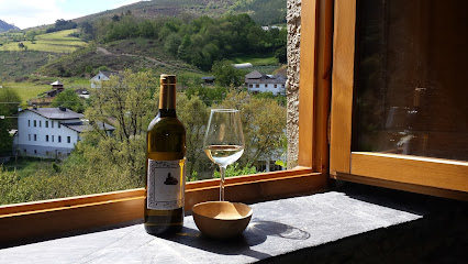 Bodega Viña Cuedo en San Antolin de Ibias. Bodega