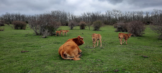 Sendero Minero en San Adrián de Juarros. Zona de senderismo
