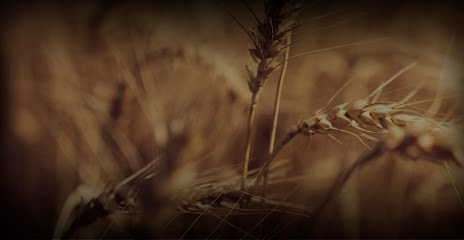 Productos ecológicos en La Coruña | Cultivando con Alma en Alfaraz de Sayago. Producción agrícola