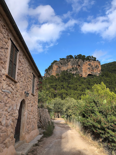 Bunyola en Buñola. Zona de senderismo