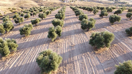 La Aceitera de la Abuela en Titulcia. Almazara