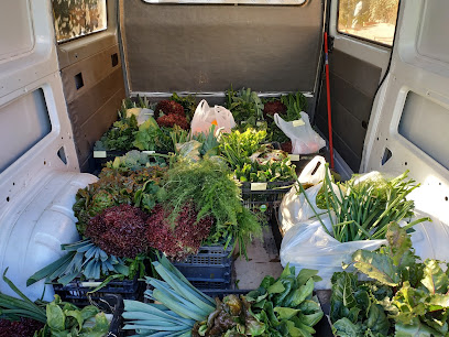 Ecojica en Vélez de Benaudalla. Tienda de alimentos naturales