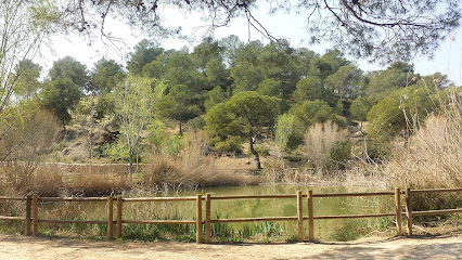 PNM Les Rodanes en Vilamarxant. Reserva natural
