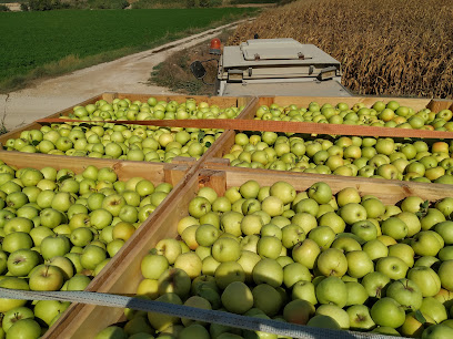 Bio Golarde - Germans Coll en Ivars d'Urgell. Granja