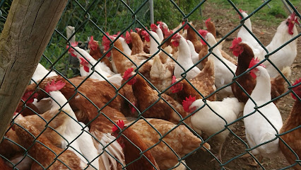 Finca Ecológica La Sabinita en Los Realejos. Granja orgánica