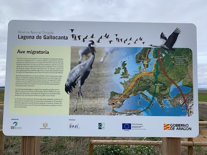 Mirador de aves de Tornos en Tornos. Parque ecológico