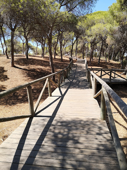 Pinares De Rota en Rota. Parque local