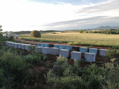Miel entre flores en Villel de Mesa. Apicultor