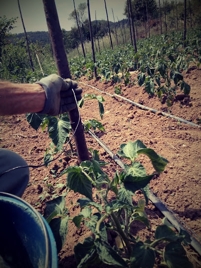 L'Horta d'Òrrius. Agricultura ecològica en Òrrius. Organización agrícola