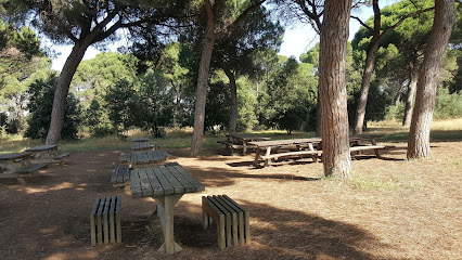 Aiguamolls de Can Cabanyes en Montornés del Vallés. Parque