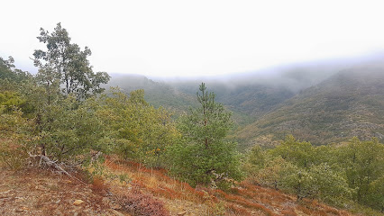 Palazuelos de la Sierra en Palazuelos de la Sierra. Parque