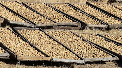 Finca La Soledad en Madrigal de la Vera. Tienda de frutos secos