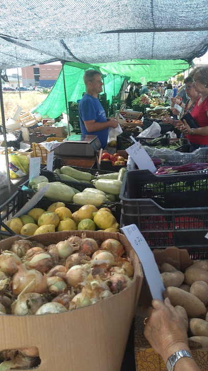 Mercadillo de Vila-real en Villarreal. Mercadillo